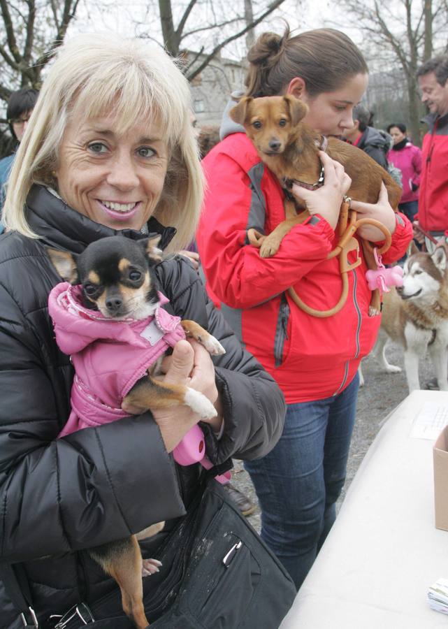 La San Silvestre de los perros