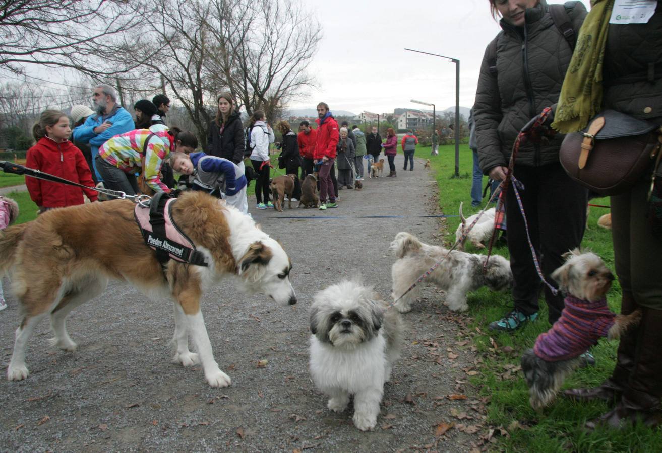 La San Silvestre de los perros