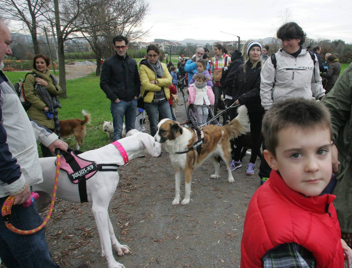 La San Silvestre de los perros