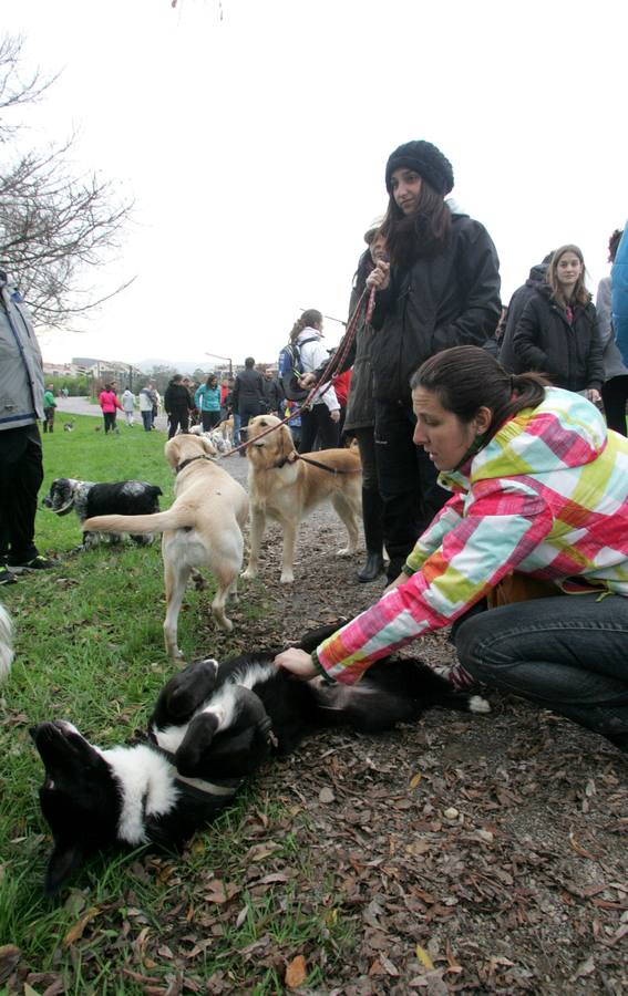 La San Silvestre de los perros