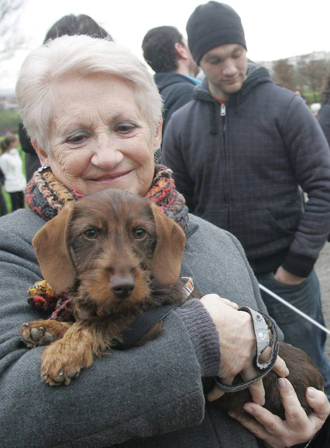 La San Silvestre de los perros