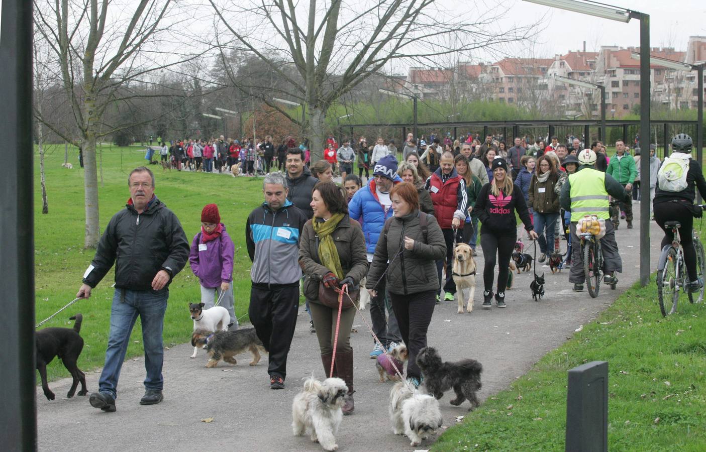 La San Silvestre de los perros