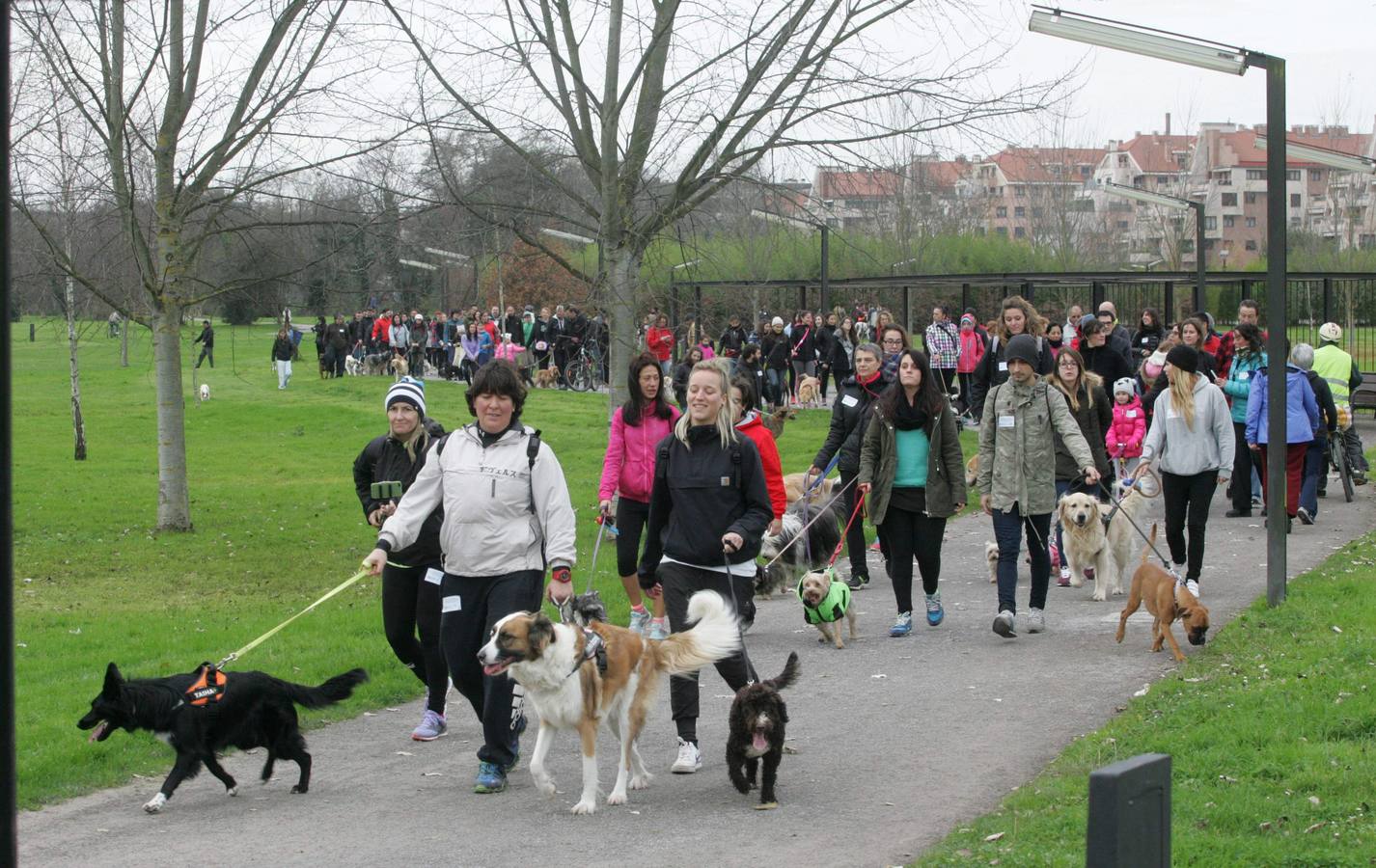 La San Silvestre de los perros