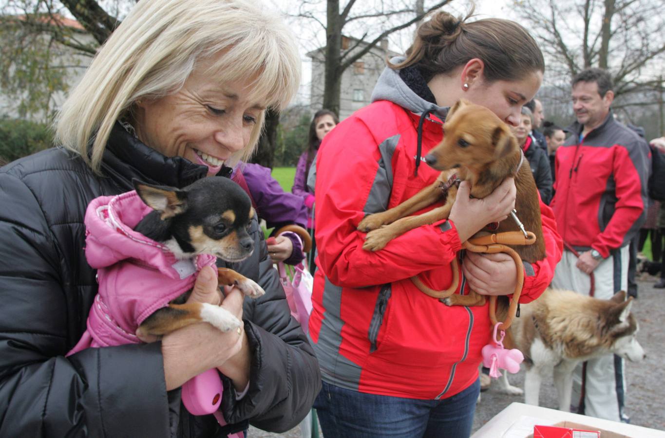 La San Silvestre de los perros