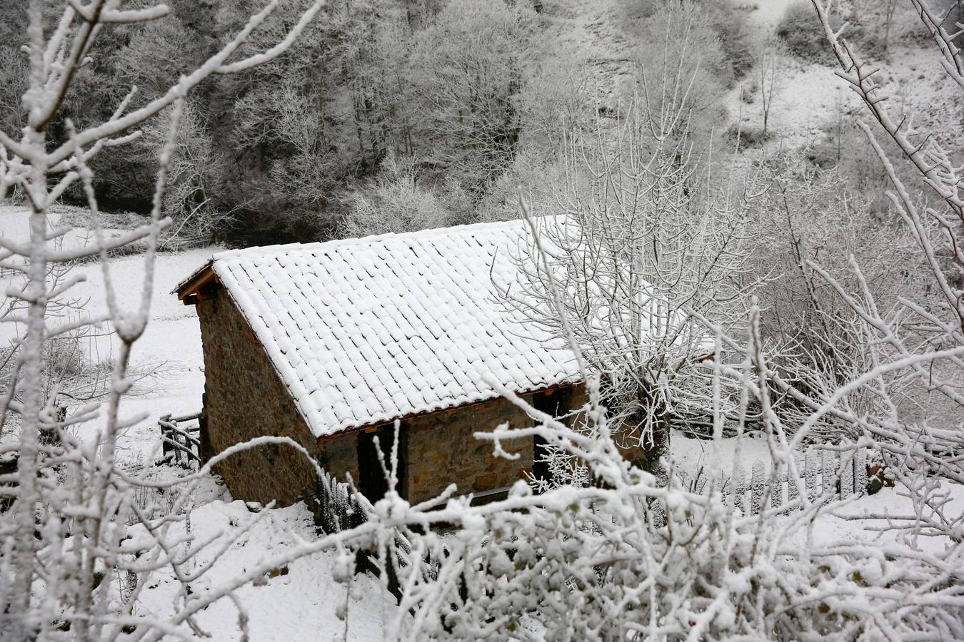 Asturias, en alerta por viento y nevadas