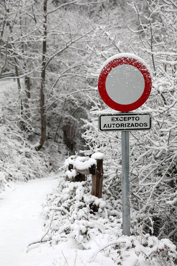 Asturias, en alerta por viento y nevadas