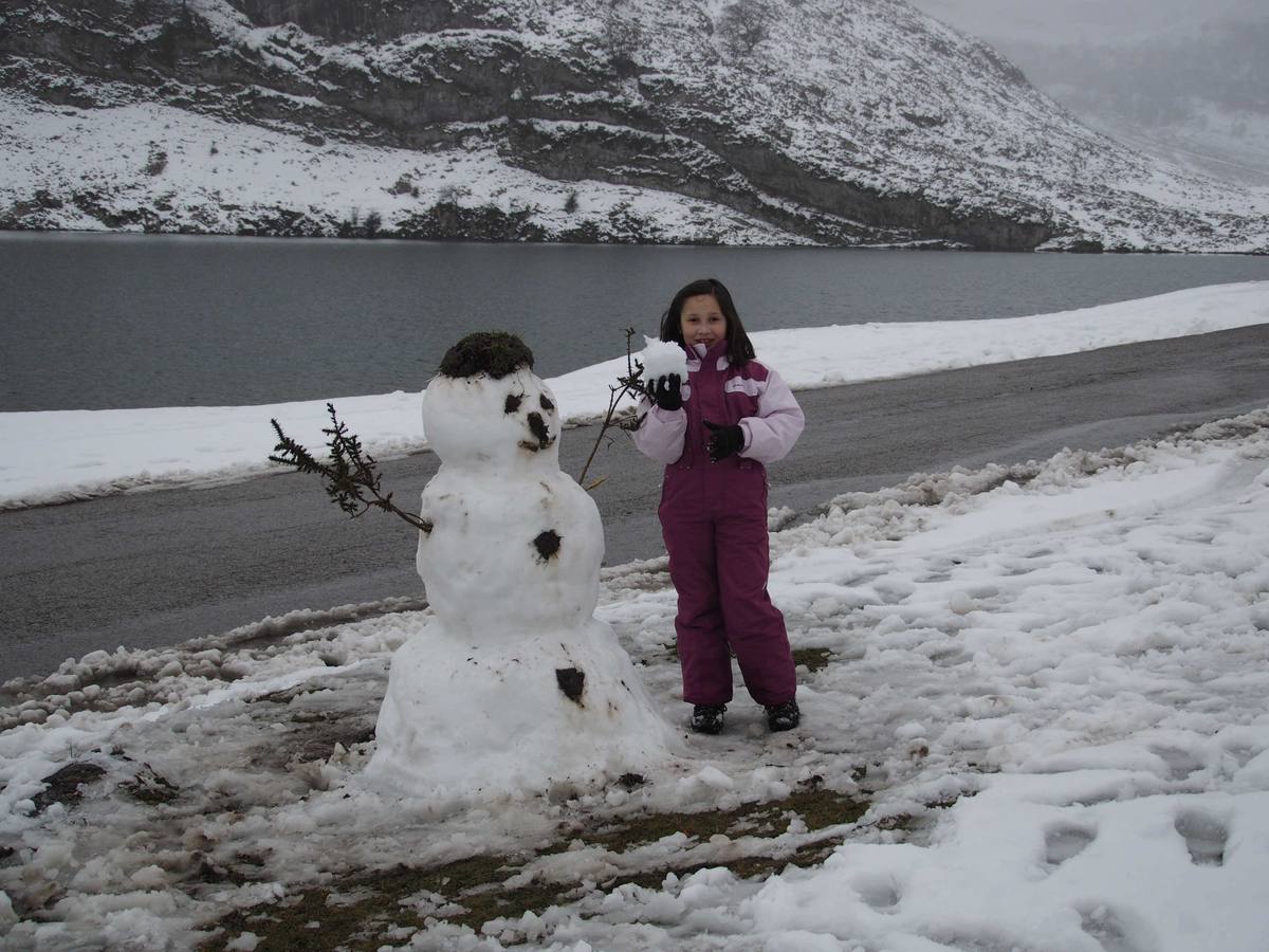 La nieve en Los Lagos