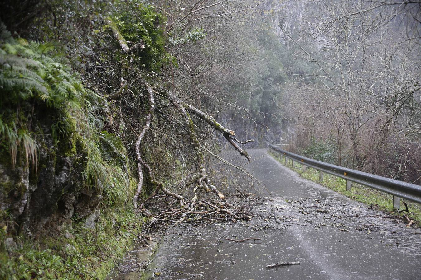 Inundaciones en el Oriente asturiano