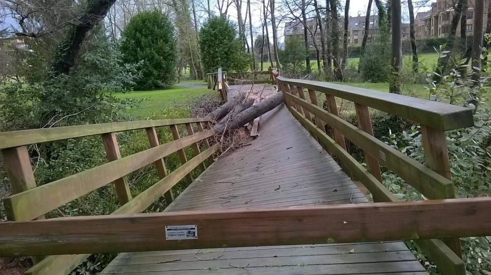 Destrozos provocados por el viento y la lluvia en Gijón.