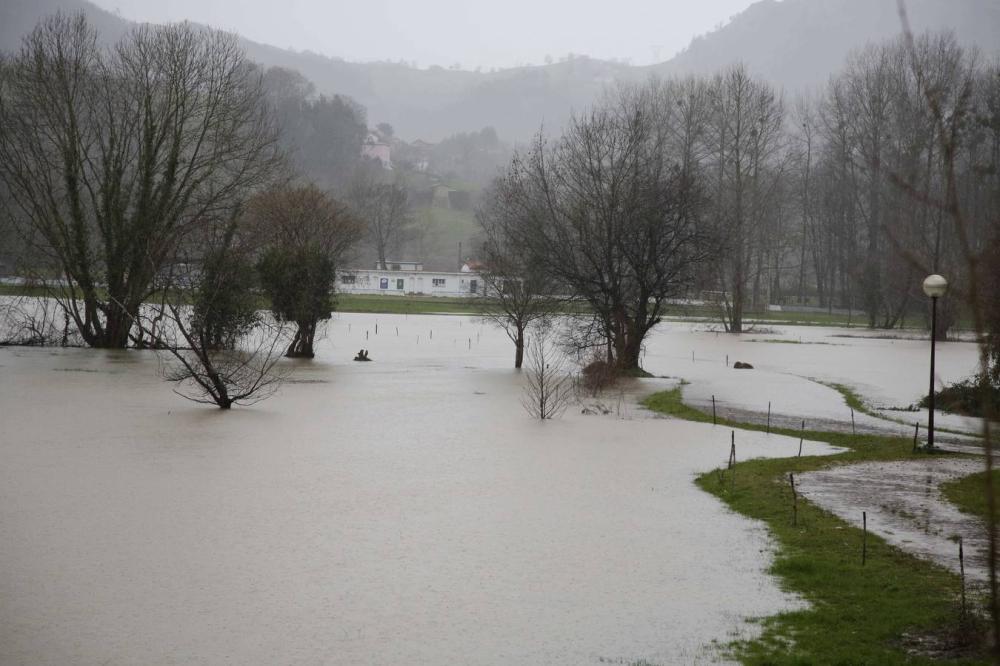 Los efectos del temporal en el oriente asturiano.