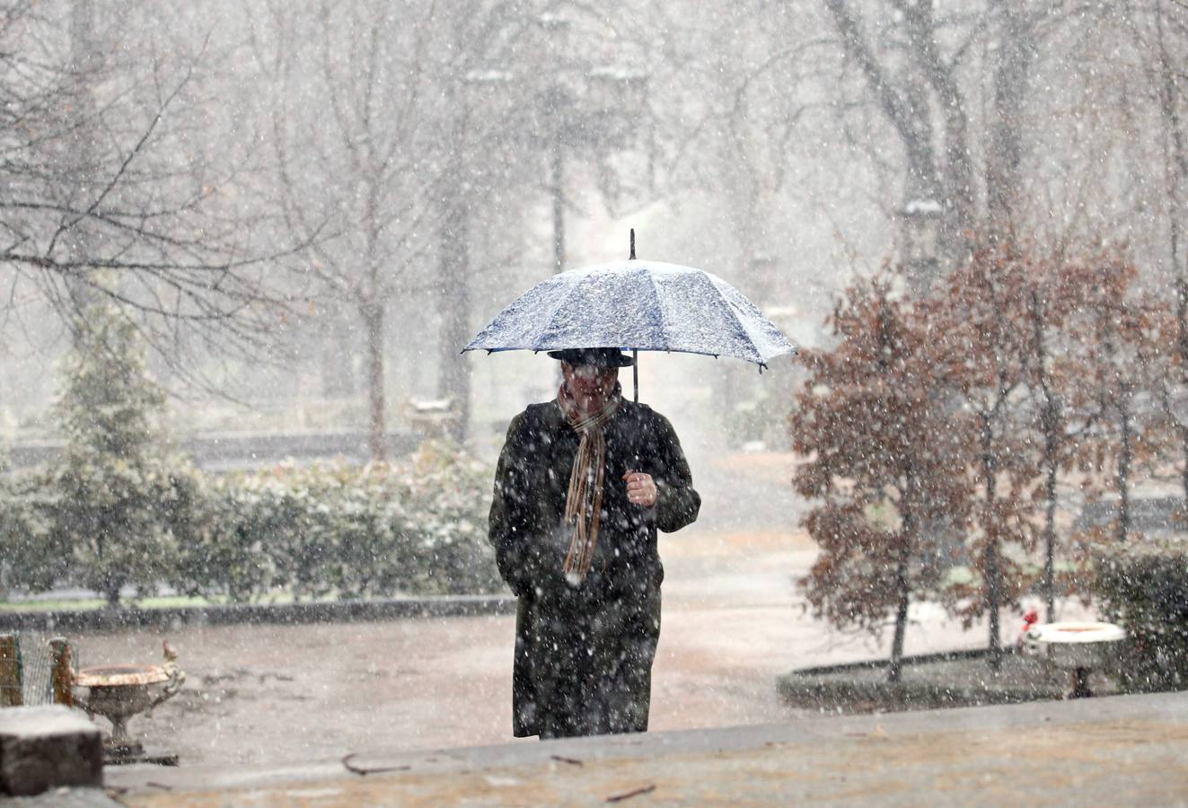 La nieve llega a Oviedo