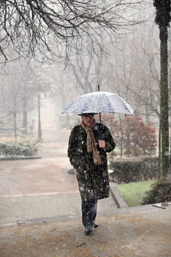 La nieve llega a Oviedo