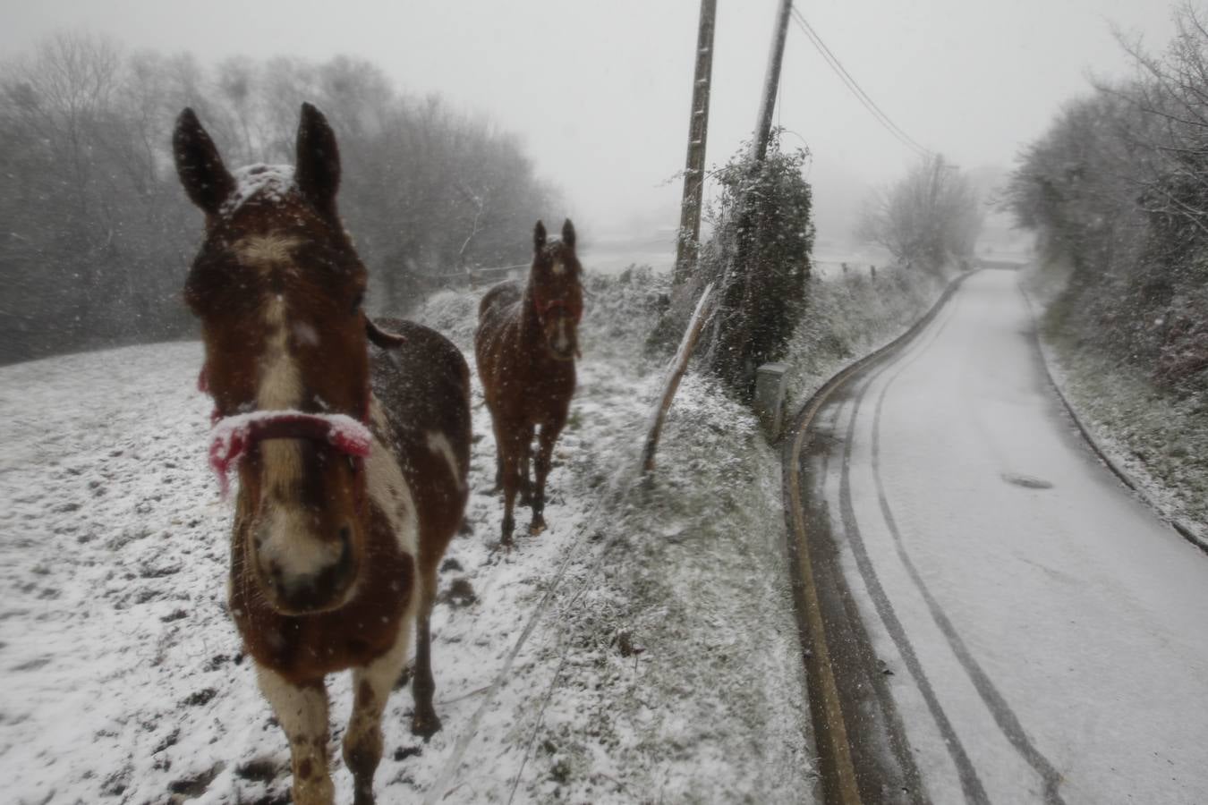 La nieve cubre en Oviedo
