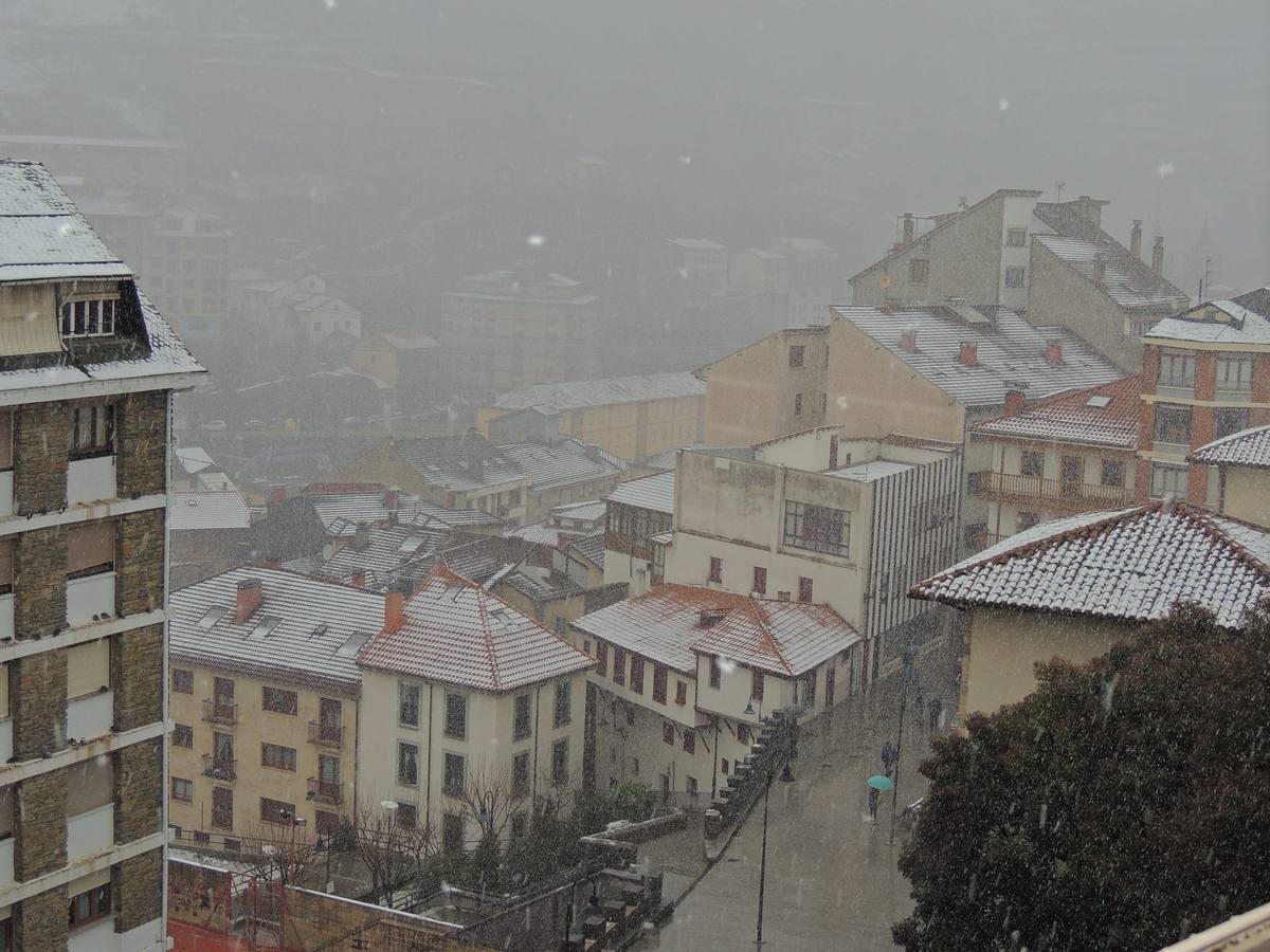 Cangas del Narcea.