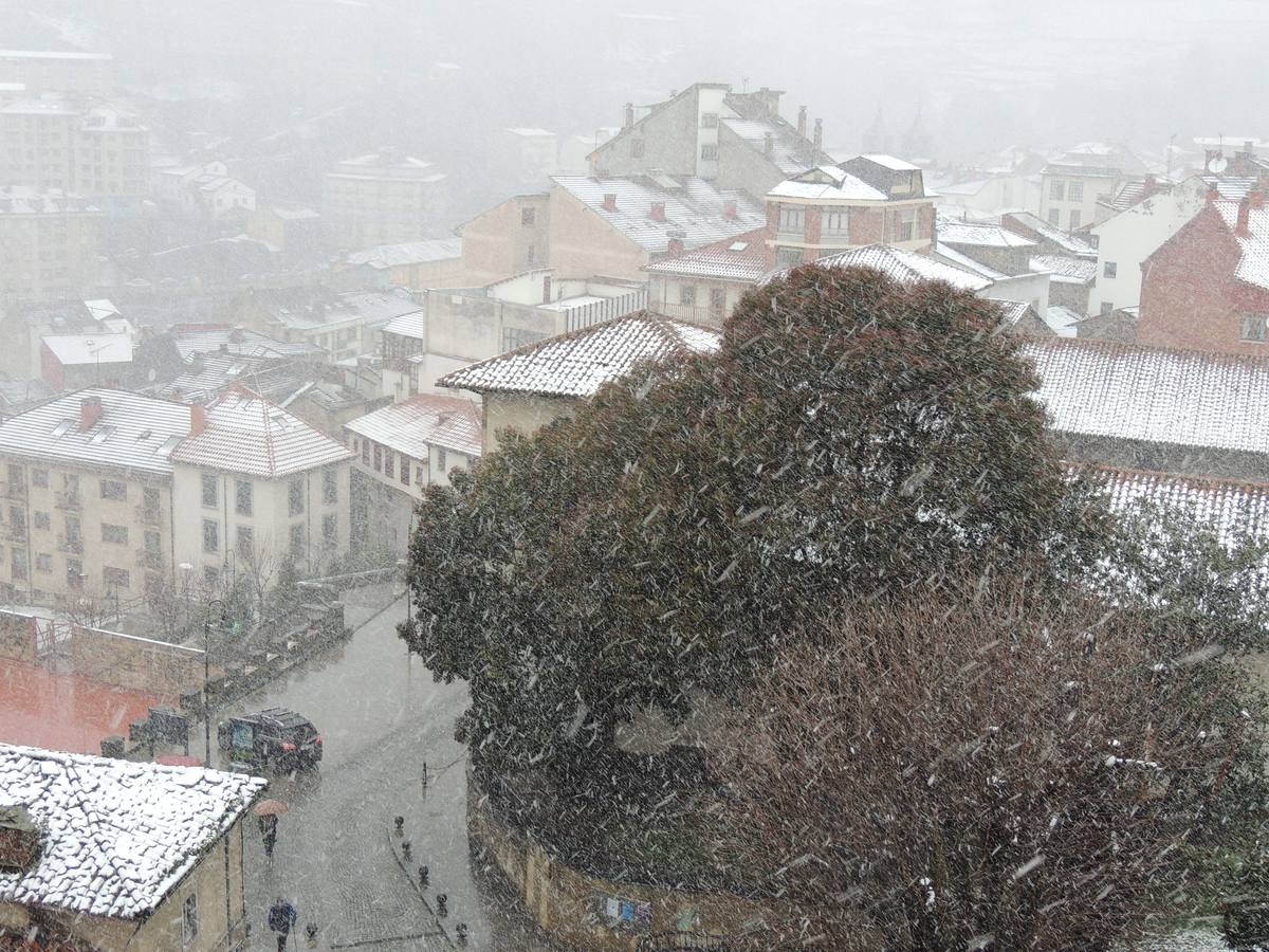 Cangas del Narcea.