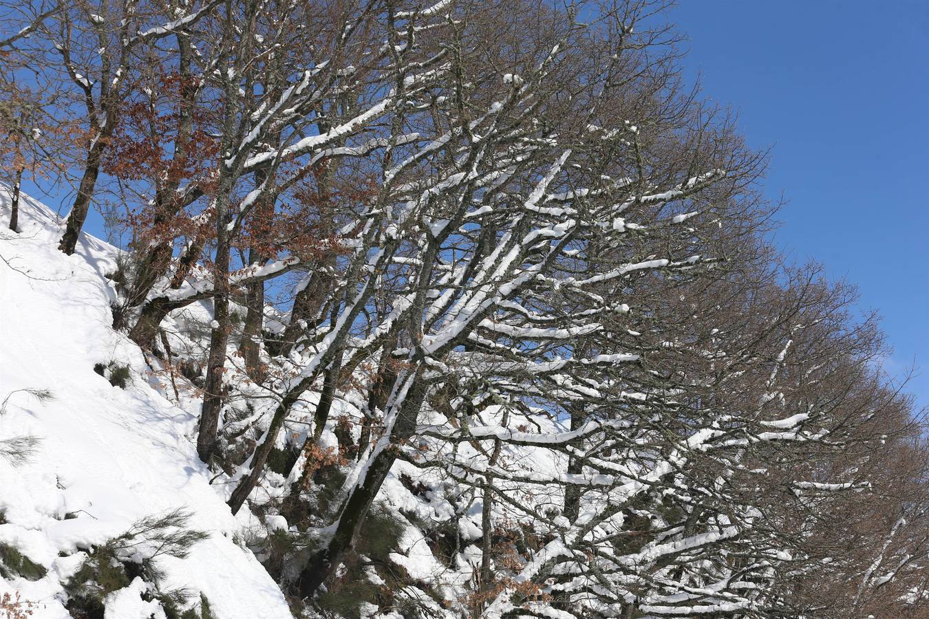 Así quedó Degaña tras las nevadas