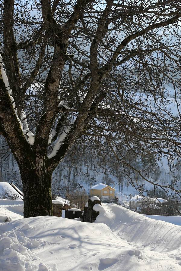 Así quedó Degaña tras las nevadas
