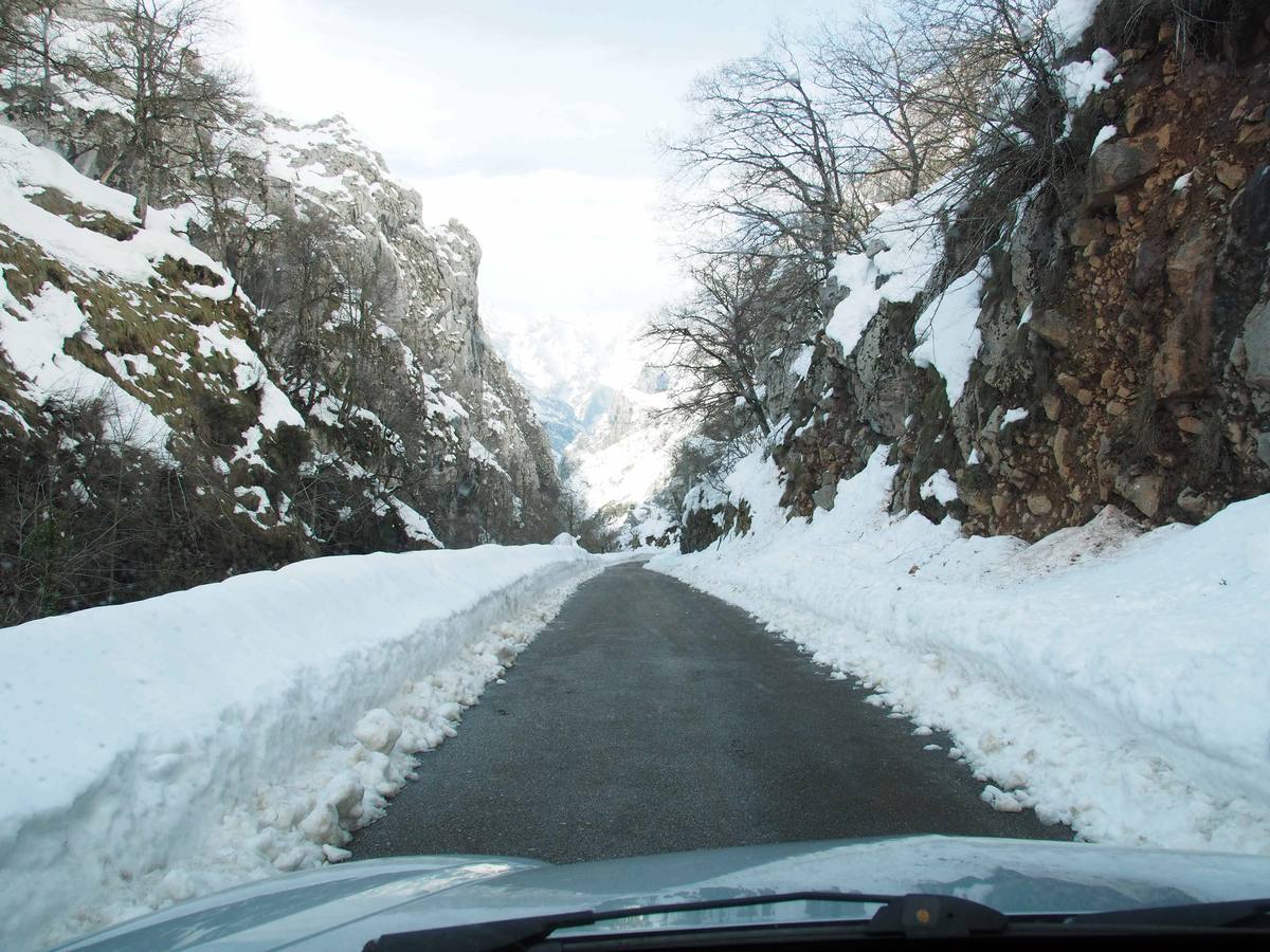 La dura vida en la nieve