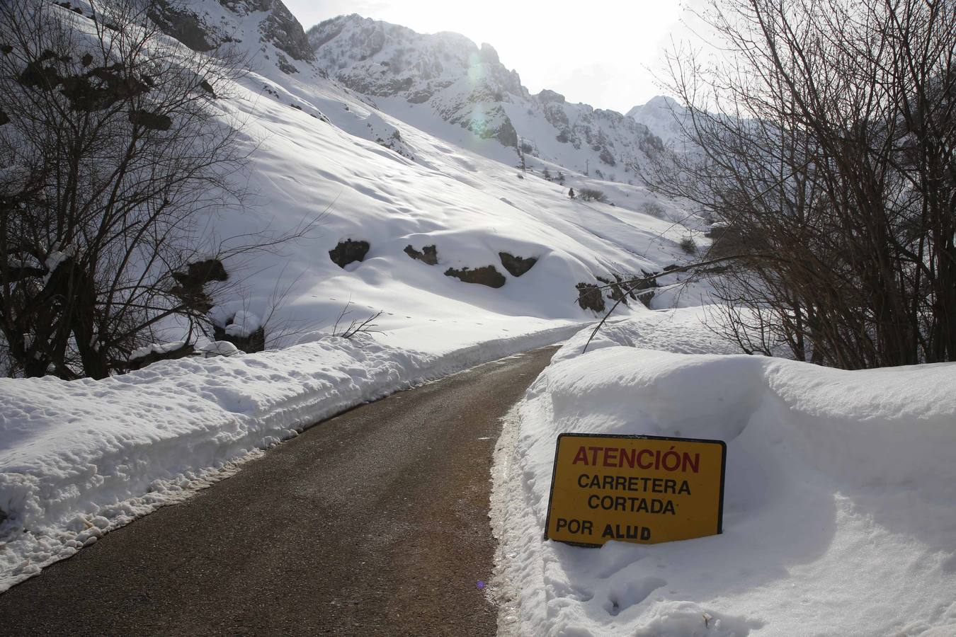 La dura vida en la nieve