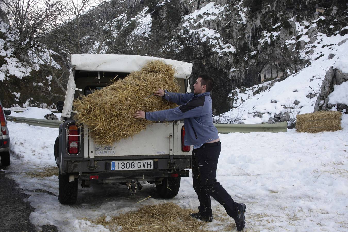 La dura vida en la nieve