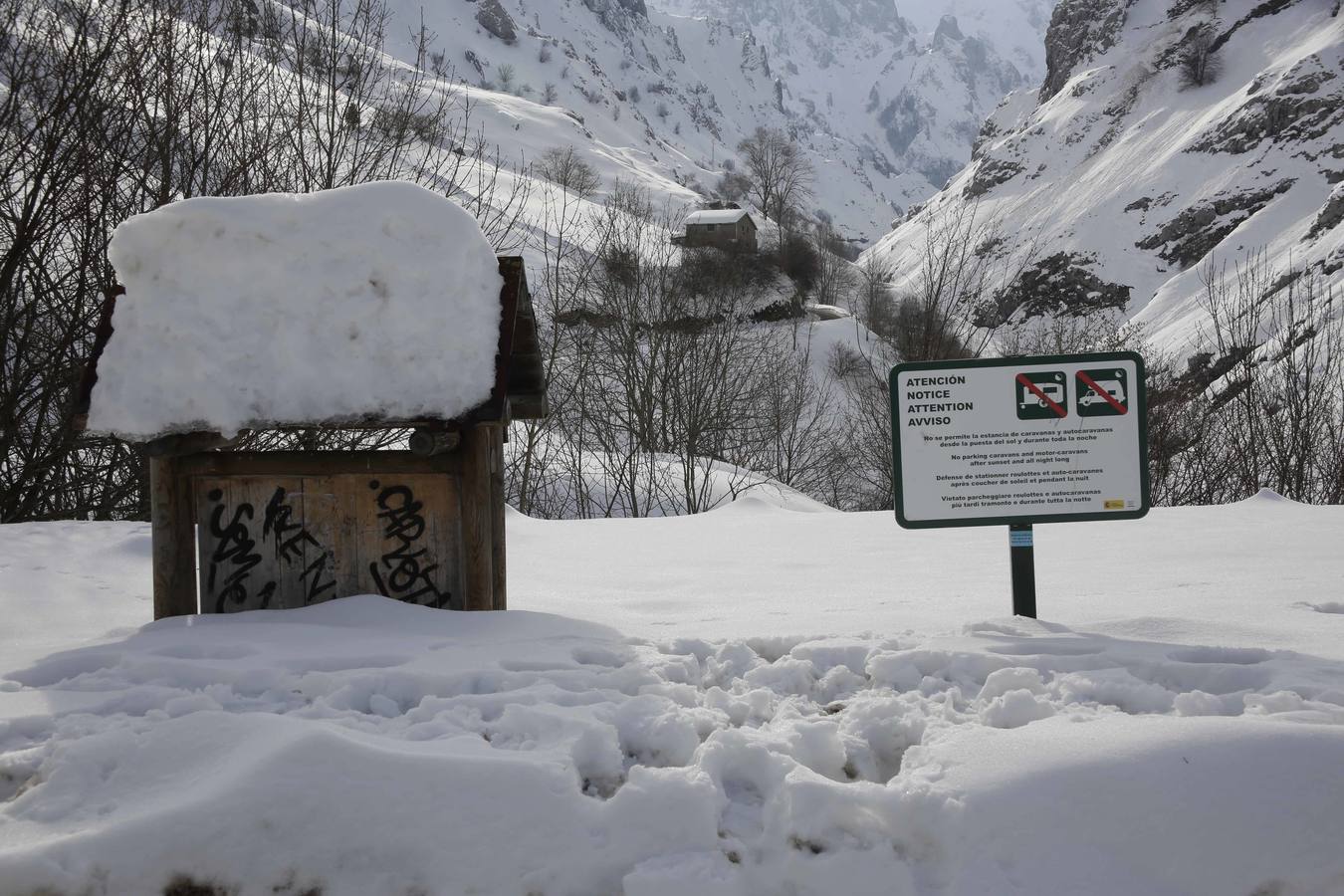 La dura vida en la nieve