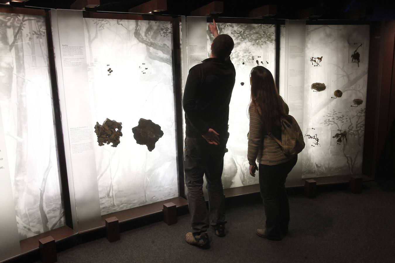 La Caixa ofrece un recorrido por el bosque en la losa de Oviedo