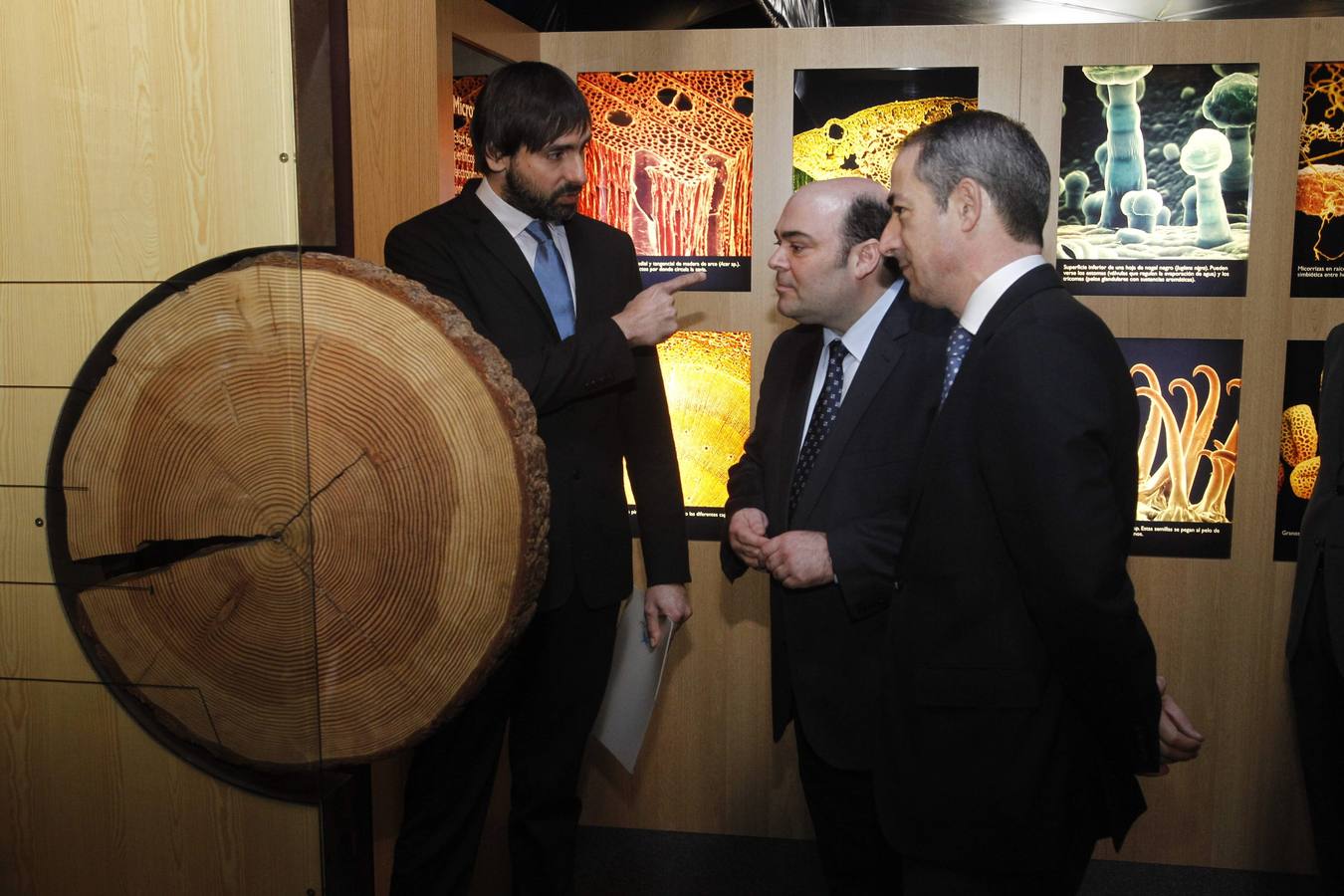 La Caixa ofrece un recorrido por el bosque en la losa de Oviedo