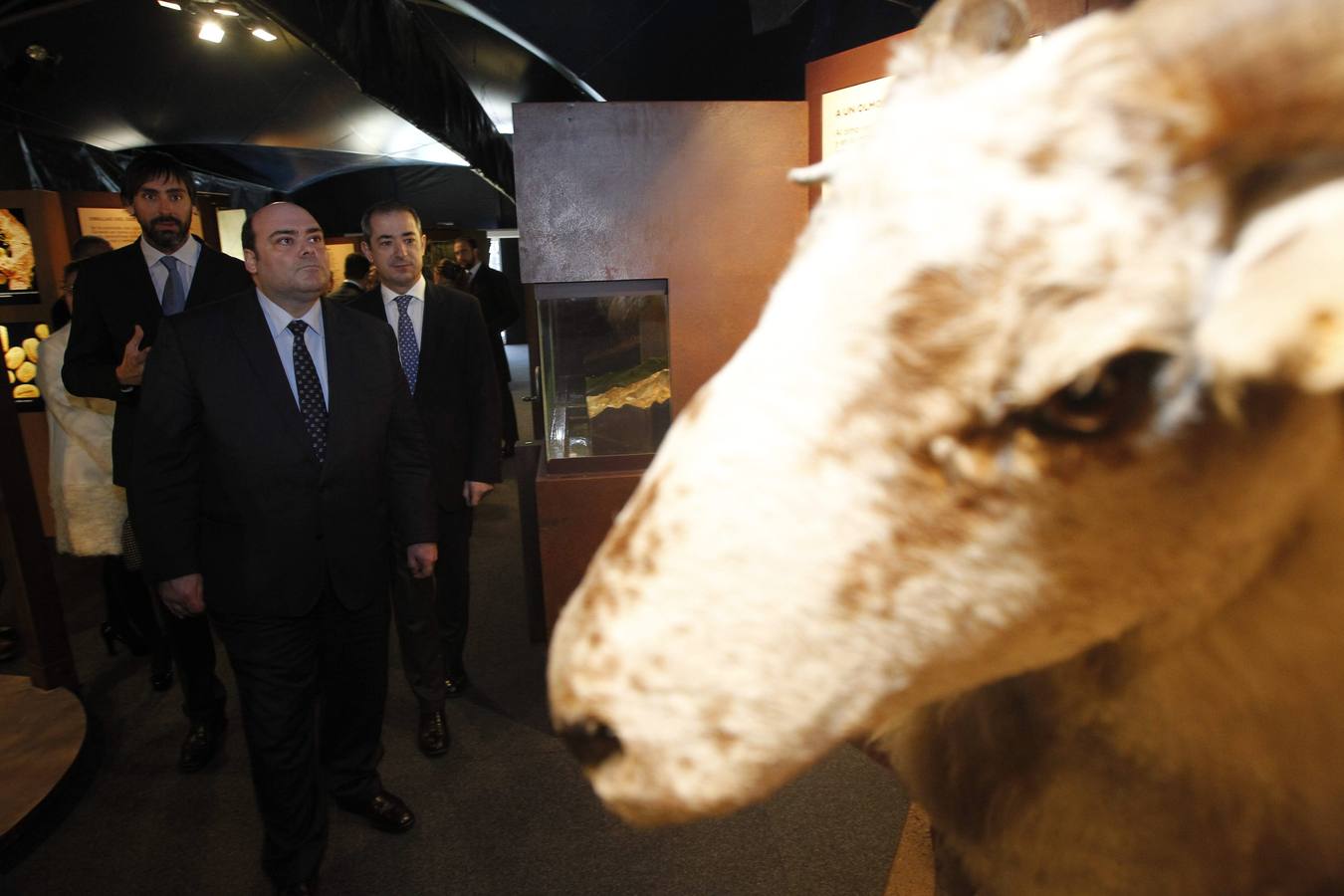 La Caixa ofrece un recorrido por el bosque en la losa de Oviedo