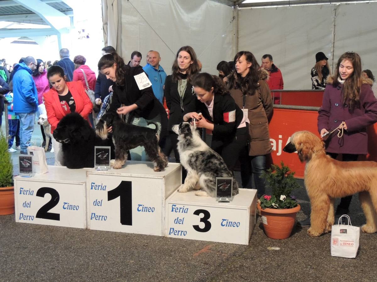 Participantes con pedigrí.