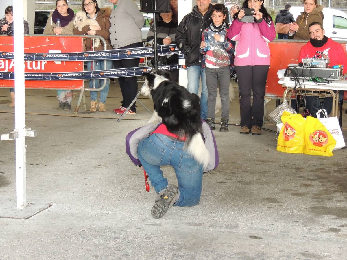 Participantes sin pedigrí.