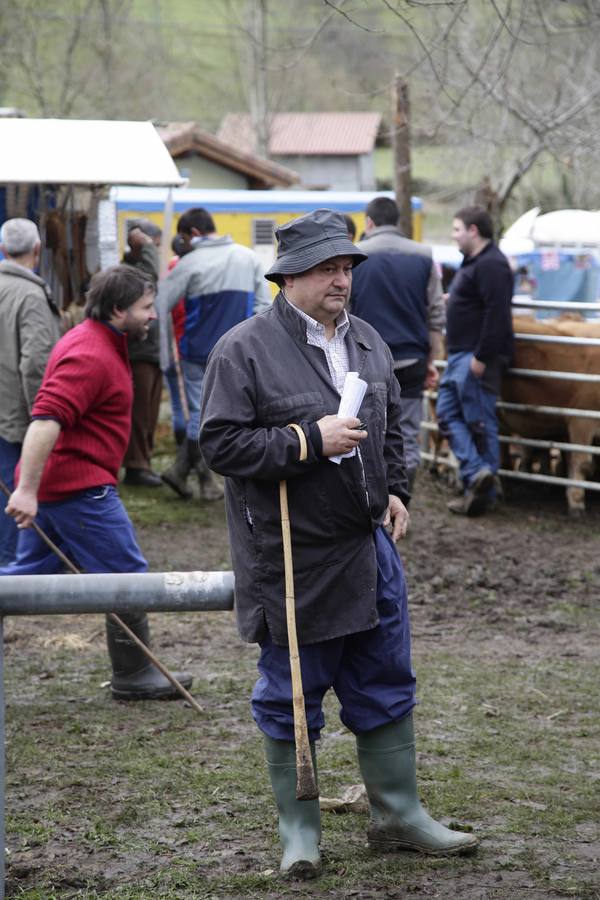 Corao acogió su tradicional feria de marzo con presencia de unas 1.300 cabezas de ganado