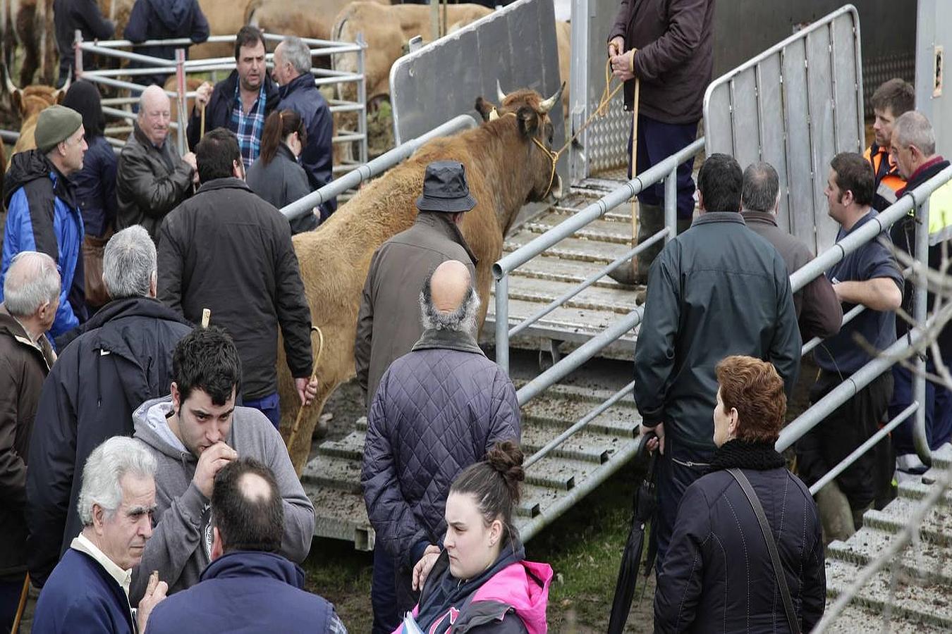 Corao acogió su tradicional feria de marzo con presencia de unas 1.300 cabezas de ganado