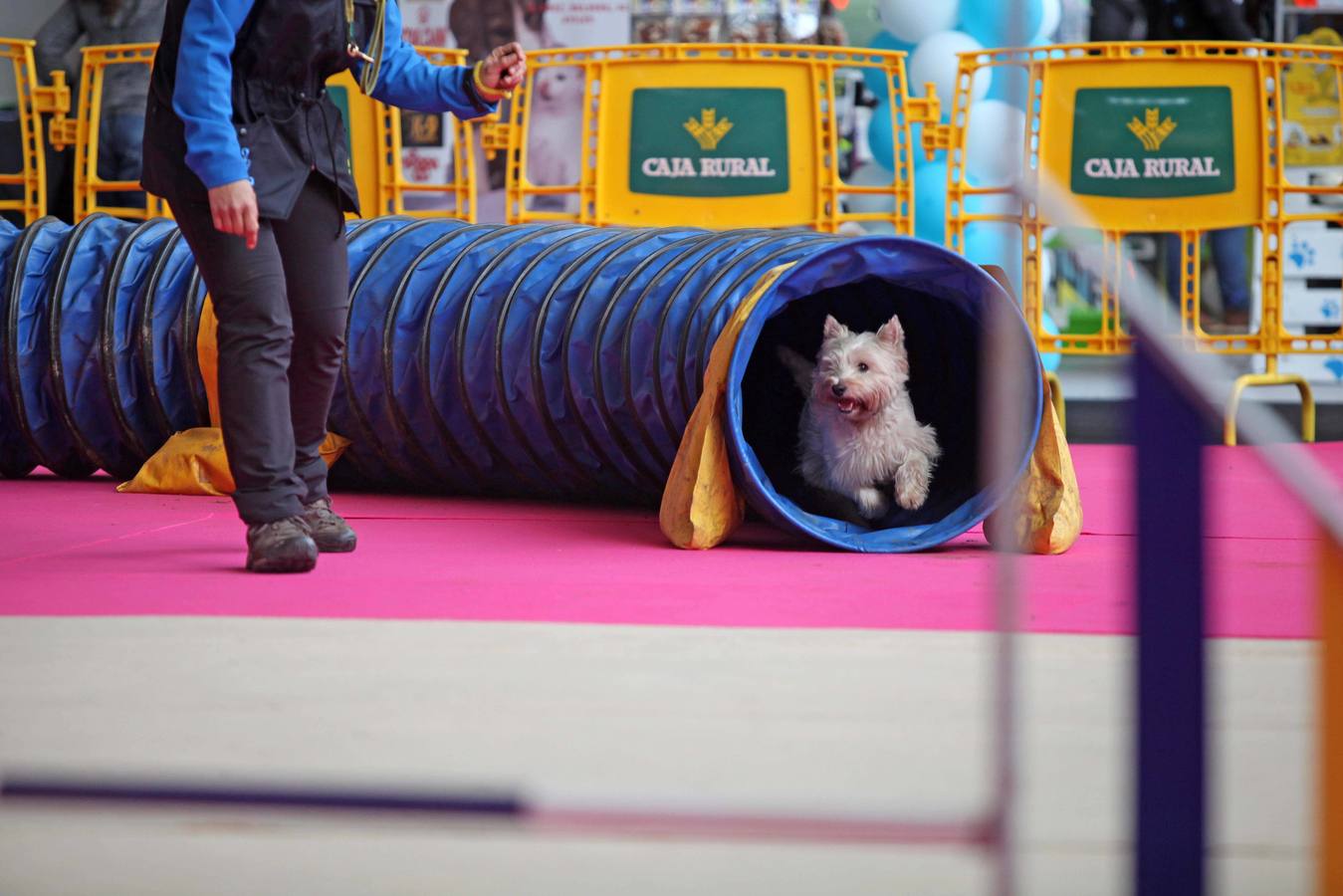 Las mascotas, protagonistas en la feria Principets