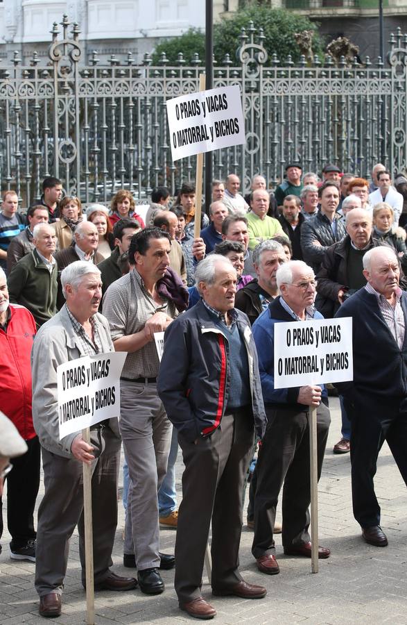Los ganaderos se manifiestan contra las políticas del Principado