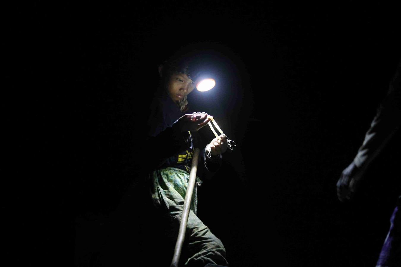 Viviendo en la basura