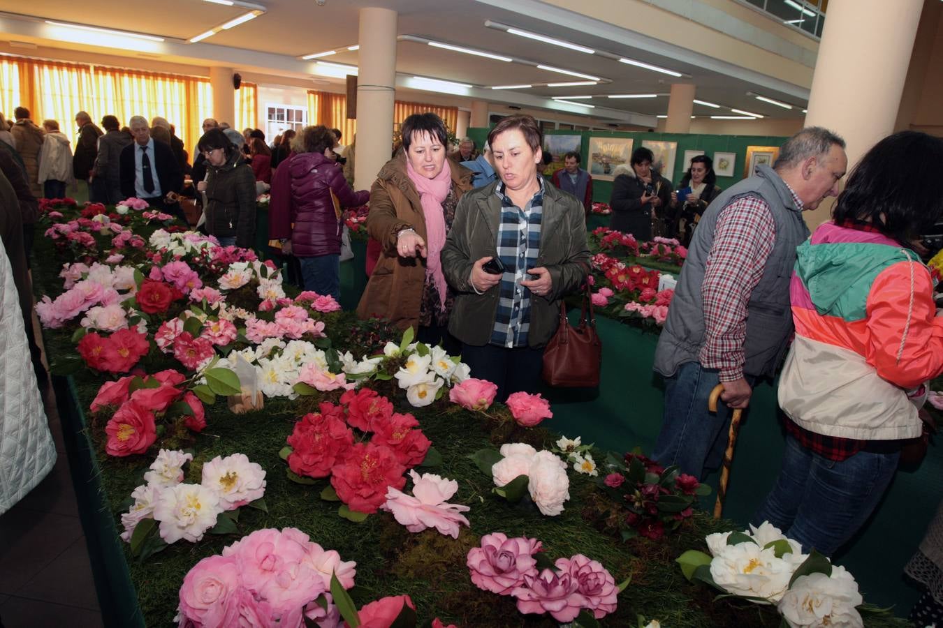 XI Exposición Nacional de Camelias en Turón