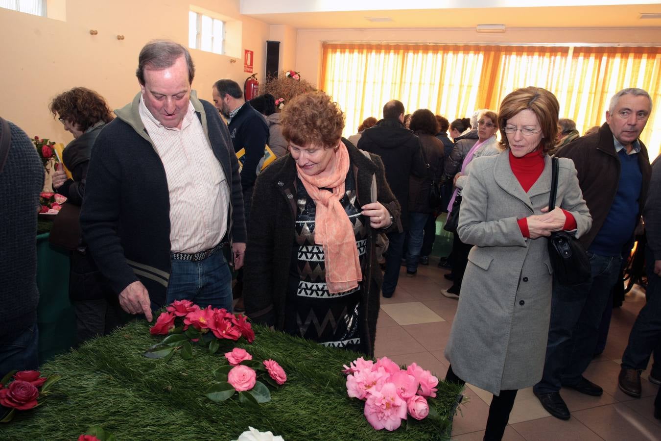XI Exposición Nacional de Camelias en Turón