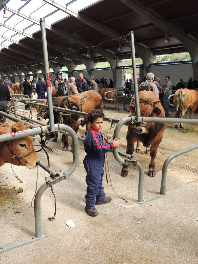 Feria ganadera de Ramos en Cangas del Narcea