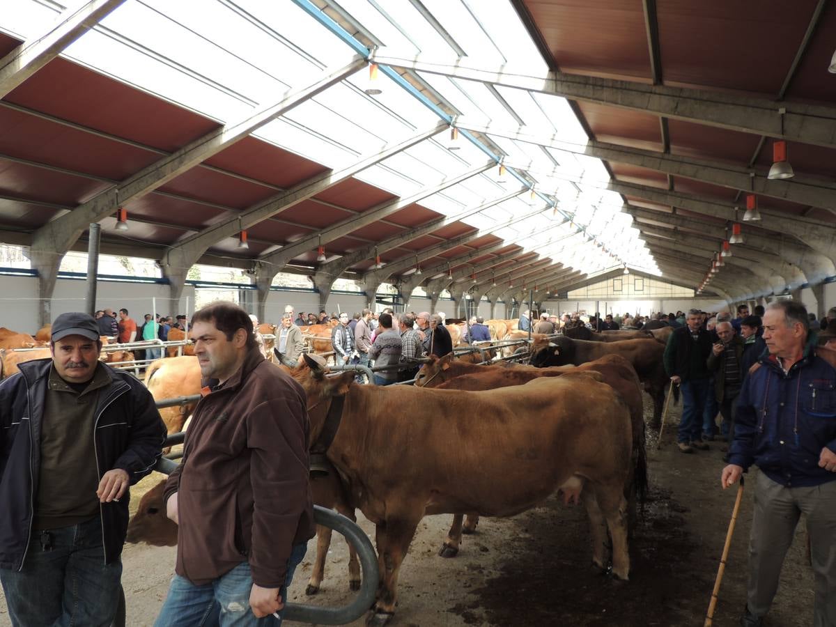 Feria ganadera de Ramos en Cangas del Narcea