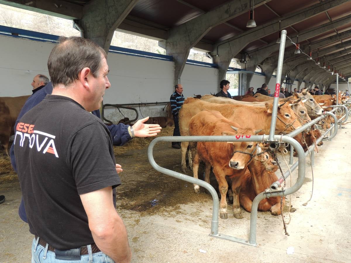 Feria ganadera de Ramos en Cangas del Narcea