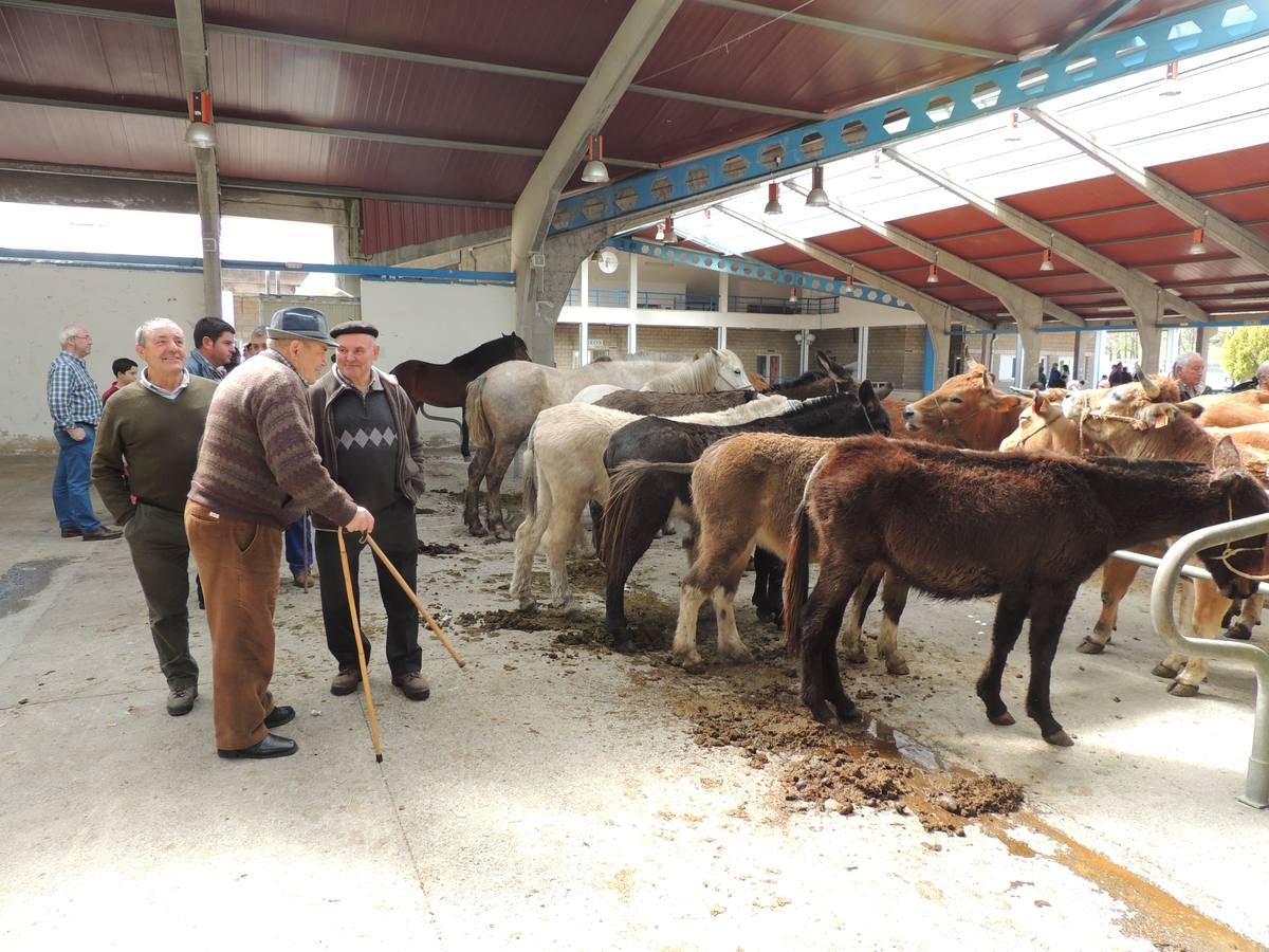 Feria ganadera de Ramos en Cangas del Narcea