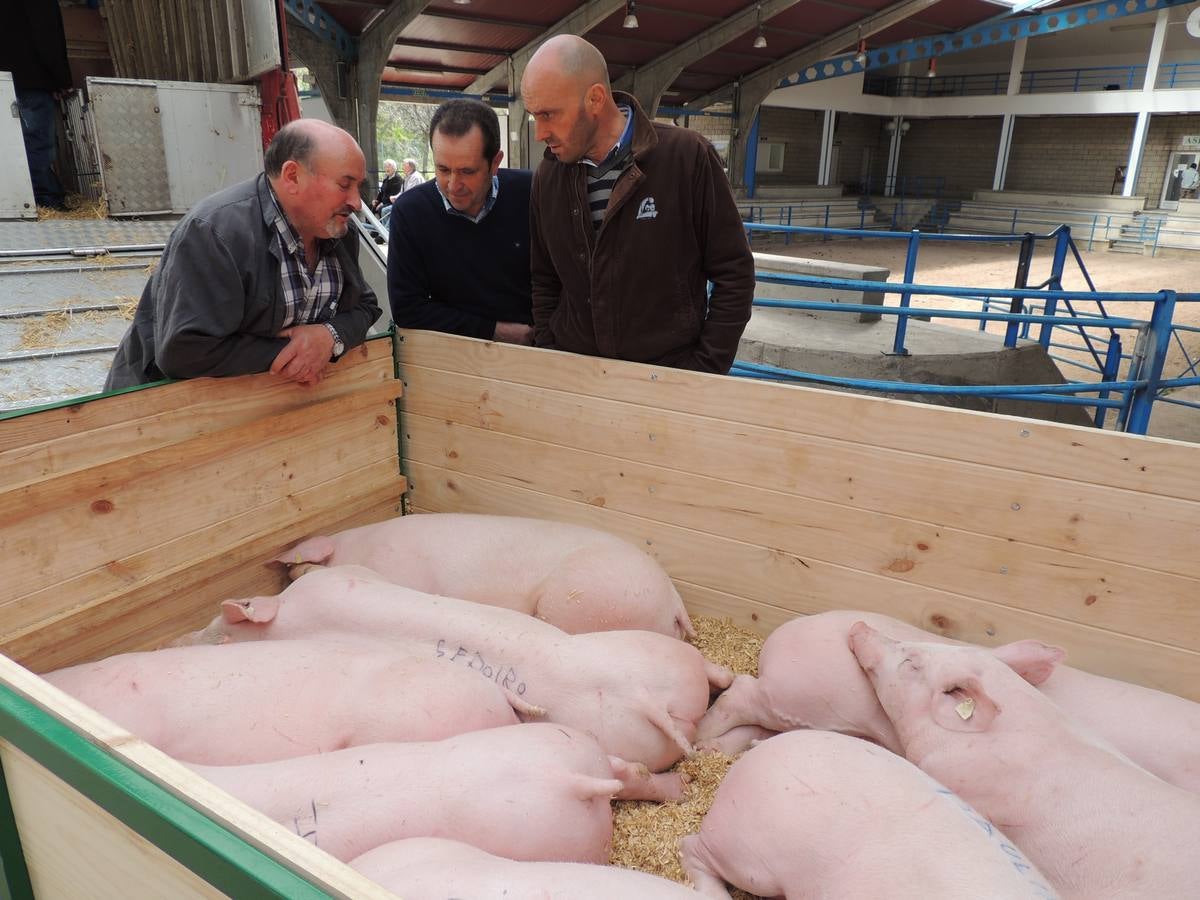 Feria ganadera de Ramos en Cangas del Narcea