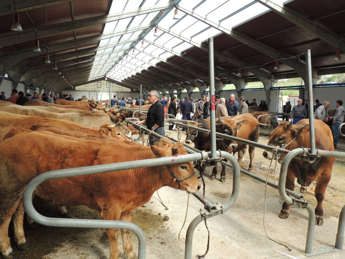 Feria ganadera de Ramos en Cangas del Narcea