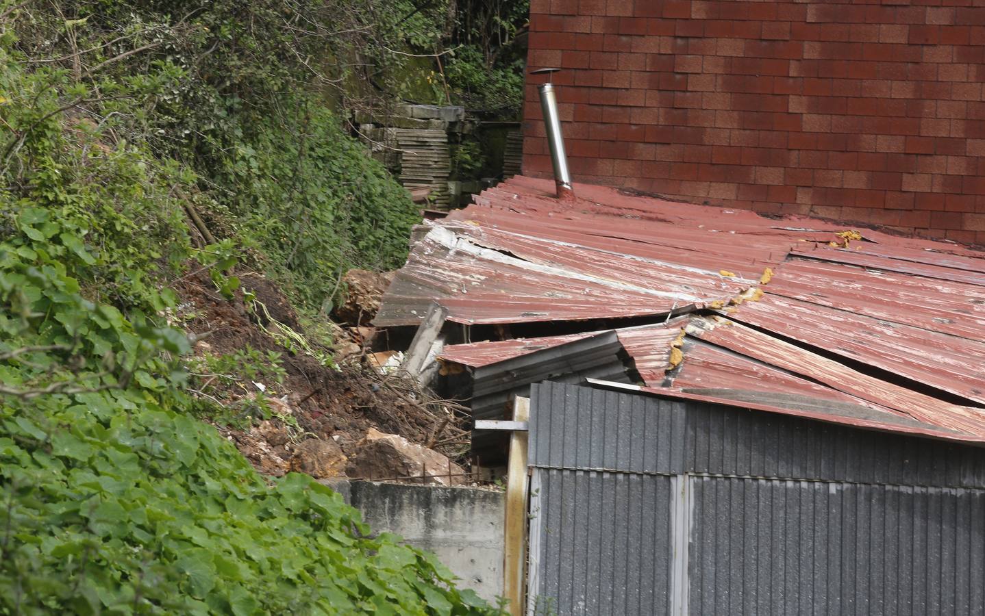 Un argayo causa daños en El Muselín