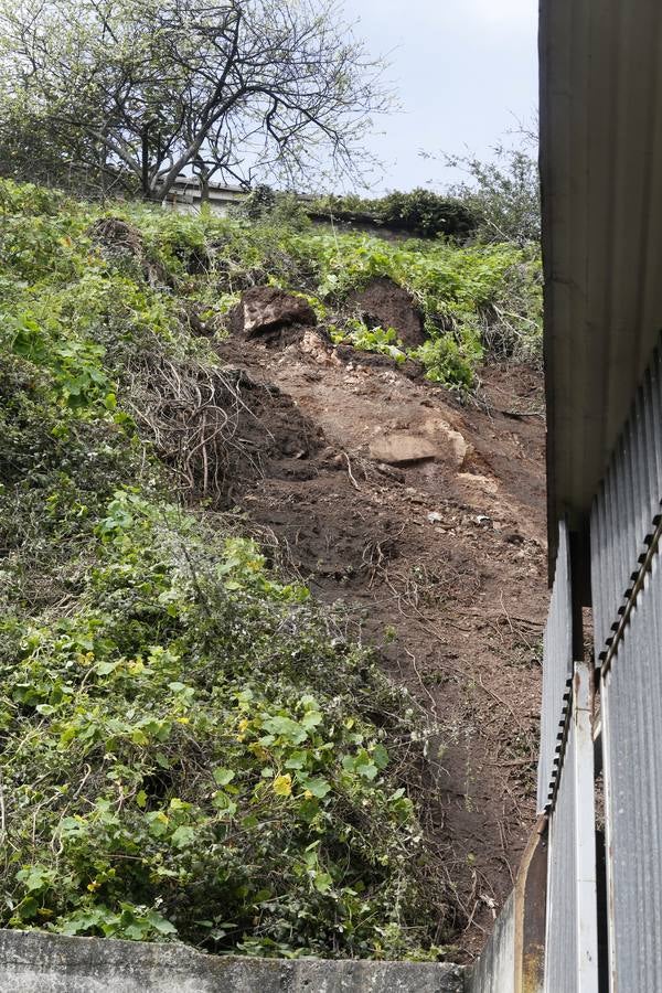 Un argayo causa daños en El Muselín