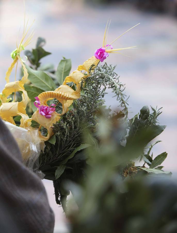 Domingo de Ramos en Avilés