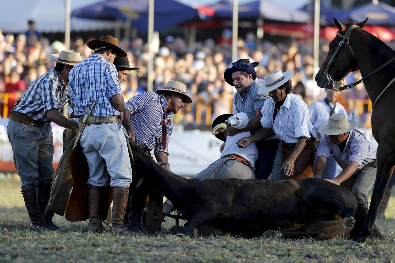 Las espectaculares imágenes de la fiesta de los gauchos