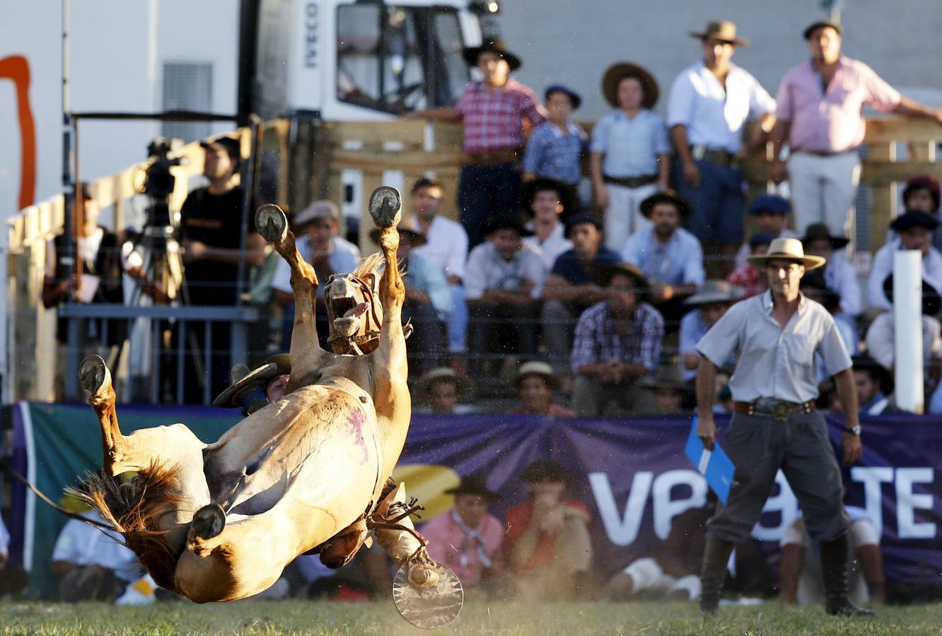 Las espectaculares imágenes de la fiesta de los gauchos