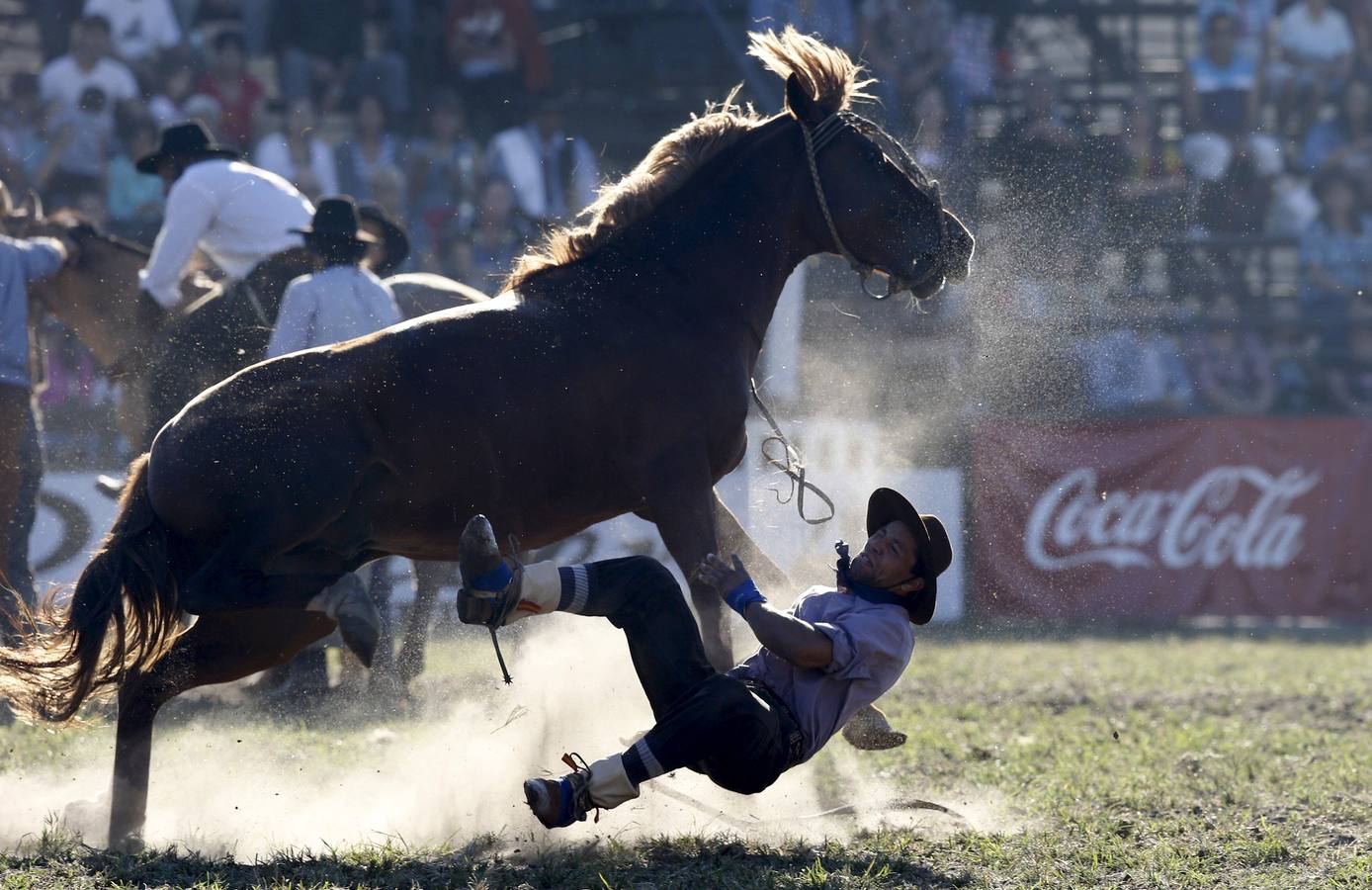 Las espectaculares imágenes de la fiesta de los gauchos