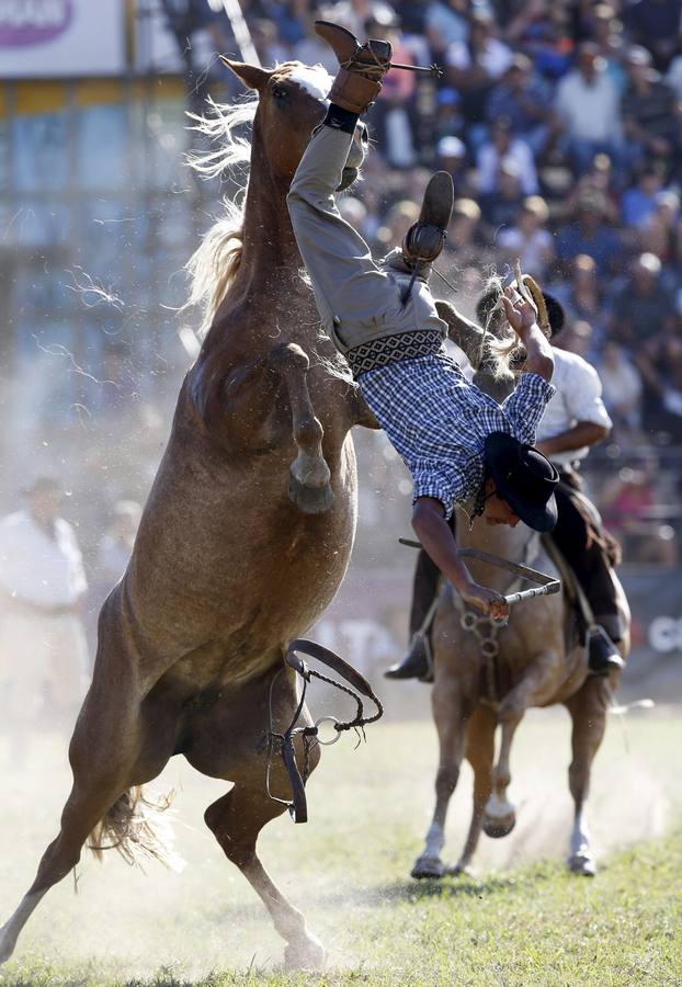Las espectaculares imágenes de la fiesta de los gauchos